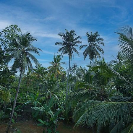 Homejay Residancies Unawatuna Luaran gambar