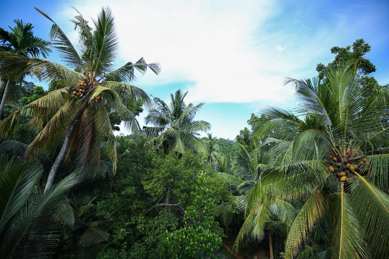 Homejay Residancies Unawatuna Luaran gambar