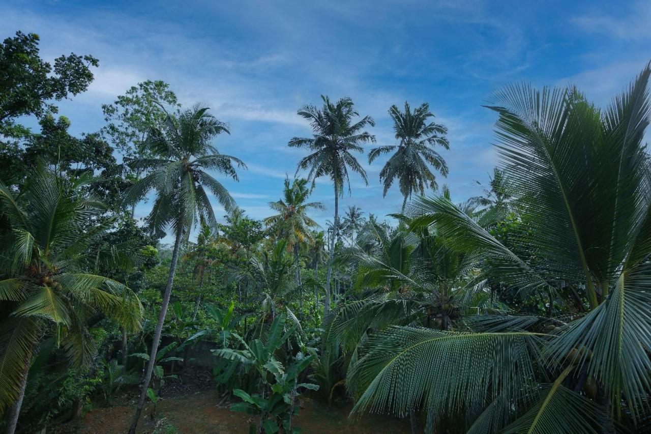 Homejay Residancies Unawatuna Luaran gambar